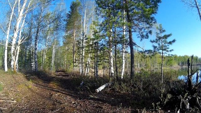 Рыбалка в Компании Змей! - Ловлю Карася на Удочку смотреть онлайн