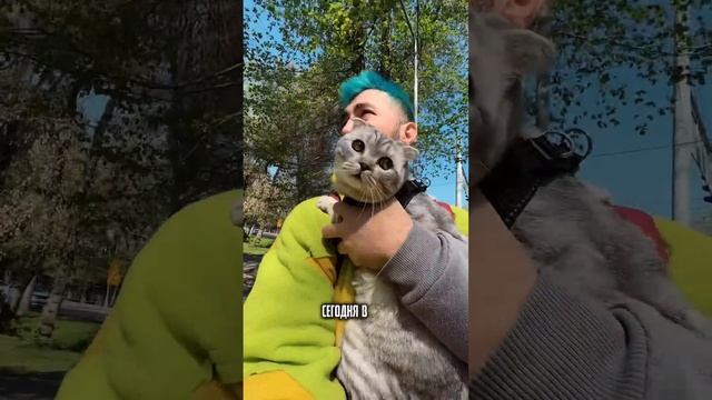 СИРЕНА В АЛМАТЫ смотреть онлайн