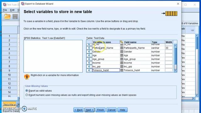 Export SPSS Data into Excel смотреть онлайн