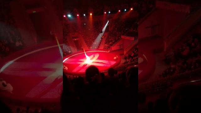 Цырк в гомеле смотреть онлайн