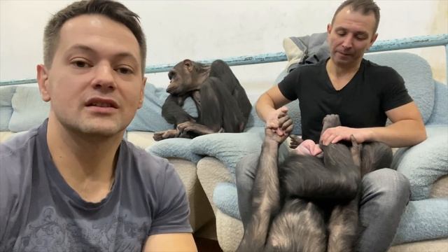 Дан Запашный о Камчатке, Байкале и проблемах экологии | У обезьян шимпанзе смотреть онлайн