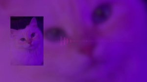 zhanulka - ты спишь (speed up)