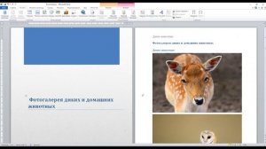 Колонтитулы и нумерация страниц в  MS Word