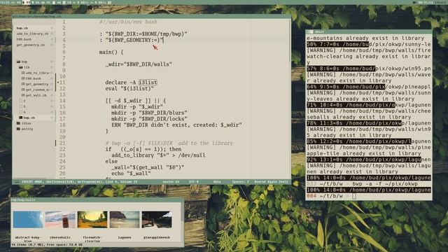 use MAGICK to `identify` WALLPAPERS!!! смотреть онлайн