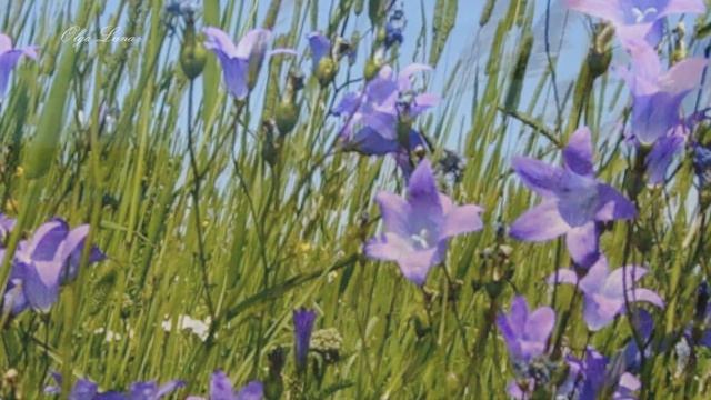 На дальней станции сойду - Геннадий Белов смотреть онлайн