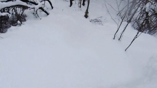 Загонная охота. Благородный Олень. Охота глазами участника. смотреть онлайн