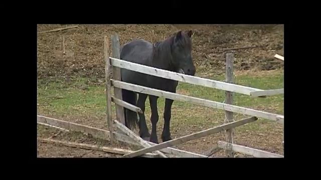 Моя Колыма_Ола_Часть первая_07.flv смотреть онлайн