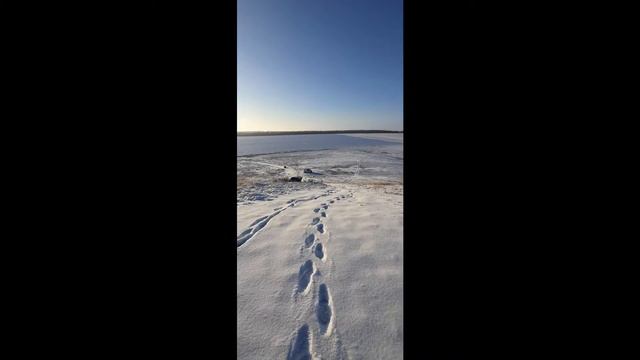 Поездка на гору с Волчьей пещерой 5 12 2020г смотреть онлайн