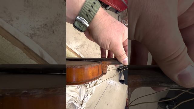 Deciding to restore an old #violin #restoration dead mouse chin pad at 2:09 🤣 смотреть онлайн