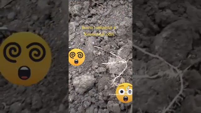 Золотая Лунница Мечта всех Камрадов. смотреть онлайн