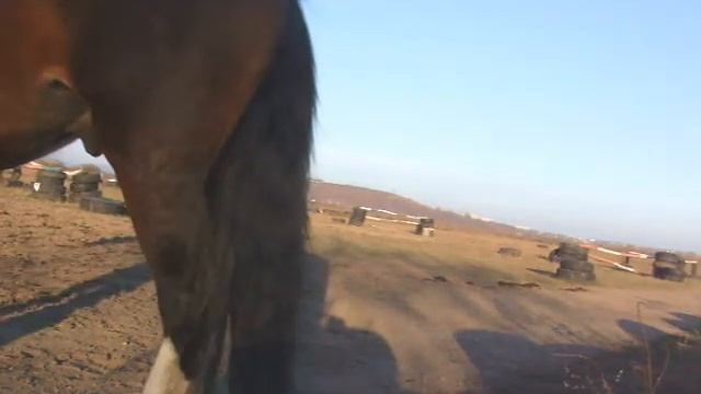 Перед соревнованиями... смотреть онлайн