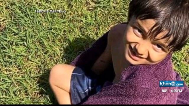 Day four in the search for missing Hilo boy смотреть онлайн