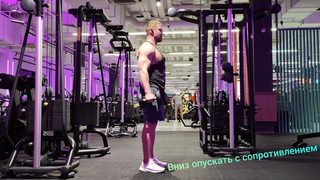 Подъёмы рук вперёд стоя, сидя (The dumbbells are moving forward sitting, standing) смотреть онлайн