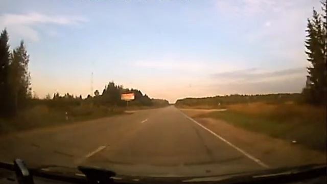 Собака выскочила на дорогу