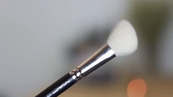 Top 10 MAC Makeup Brushes