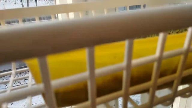 Огород на подоконнике. Микрозелень. Обзор. смотреть онлайн