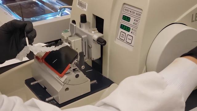 How to Section using a Microtome смотреть онлайн