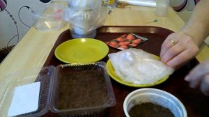 Посадка семян земляники"БАРОН СОЛЕМАХЕР".