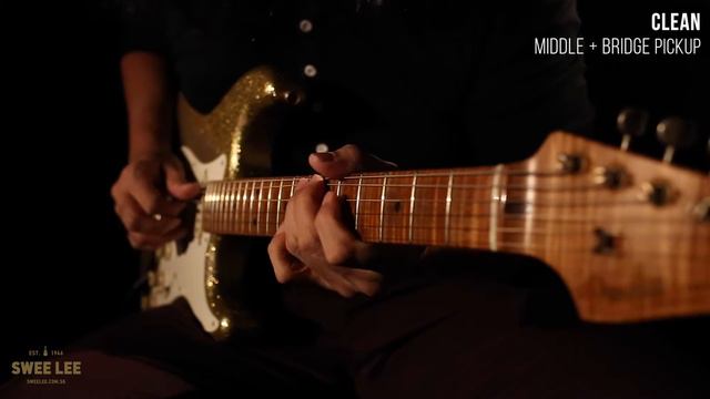 Fender Custom Shop Dale Wilson Masterbuilt Relic Stratocaster смотреть онлайн