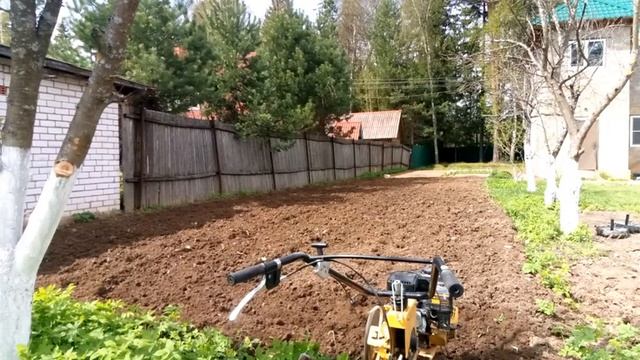 Сажаю картофель!!! Сорт Гала и Рэд Скарлет!!! смотреть онлайн