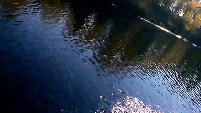 RAFFER 5 л.с BoatMaster 310 K смотреть онлайн