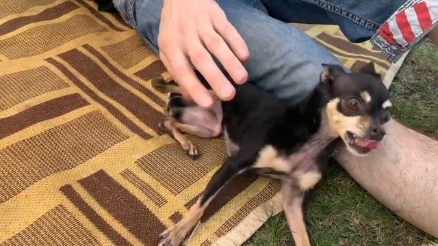 СБОРЫ НА ПРИРОДУ | КРАСОТЫ ПРИРОДЫ | СОЗДАЕТСЯ ОЧЕРЕДЬ VLOG:22.05.21 смотреть онлайн