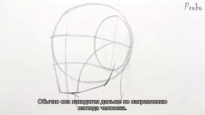 Проко - Как рисовать голову с различных углов. Часть 2 - Вид спереди