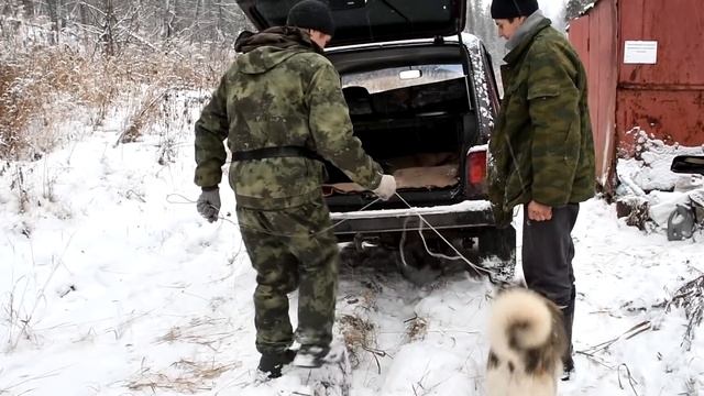 Три дня охоты в тайге по первому снегу - медведь и волк смотреть онлайн