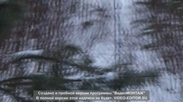 Типичное болото...там по неведомым дорожкам...и избушка на курьих ножках. смотреть онлайн