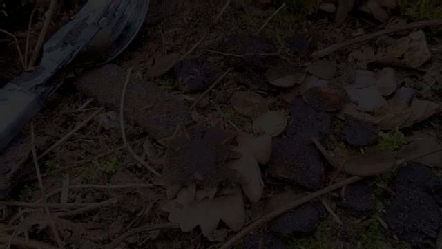 в БОЛОТЕ/набор ОФИЦЕРА/раскопки вов /metal Detecting /кпв