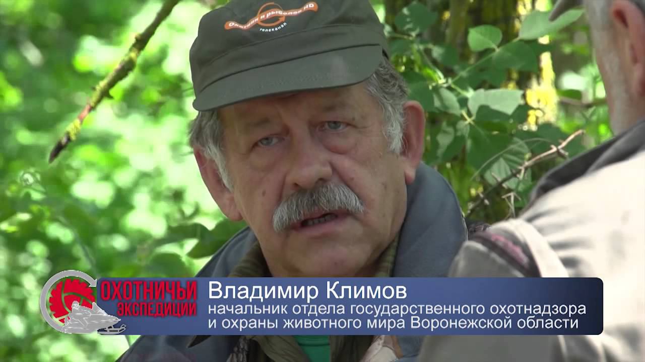 Охотничьи экспедиции 5 Охота на кабана на кормовых полях Воронежская область смотреть онлайн