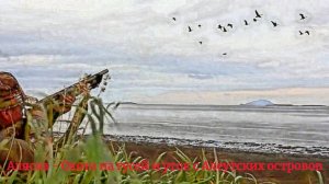 Аляска - Охота на гусей и уток с Алеутских островов