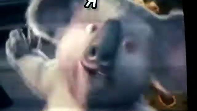 А я морская звезда смотреть онлайн