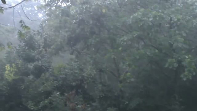 СУМАТРА, Экстремальный отдых. Тропический ливень / INDONESIA, Sumatra