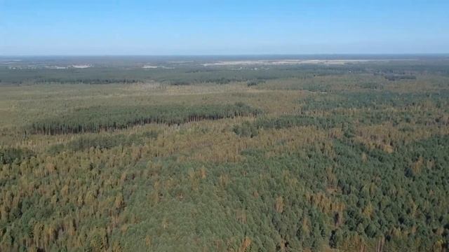 Дом в деревне в 50 км от города Кимры Тверской области смотреть онлайн
