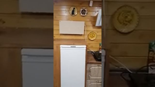 Отзыв об обогревателе Термокварц от покупателя Николая Анатольевича смотреть онлайн