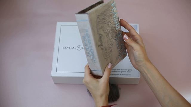 клатч Central Library смотреть онлайн