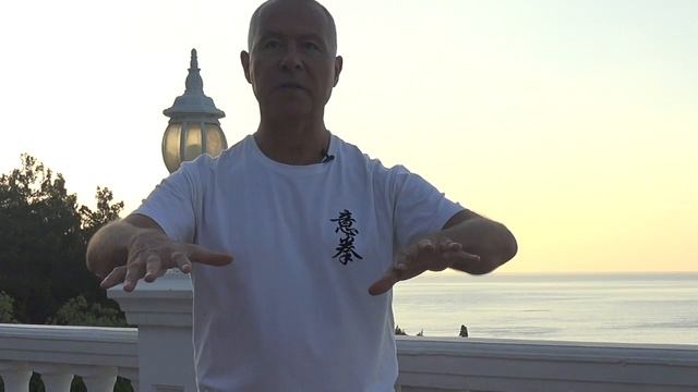 ШКОЛА ИЦЮАНЬ-17 / Yiquan School / Продолжение объяснений по Фуань Чжуан смотреть онлайн