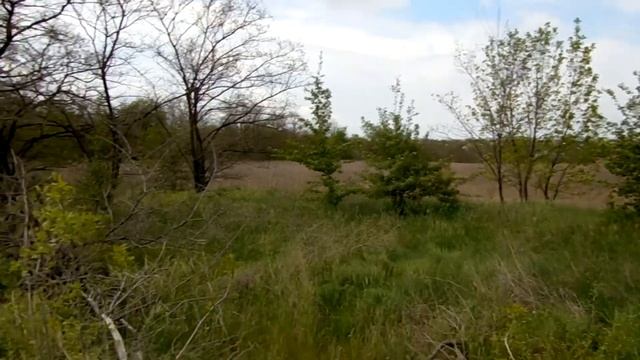 МегаЧеллендж-2017.Дальнобой.Часть 2. Спецучасток и сухие баки смотреть онлайн