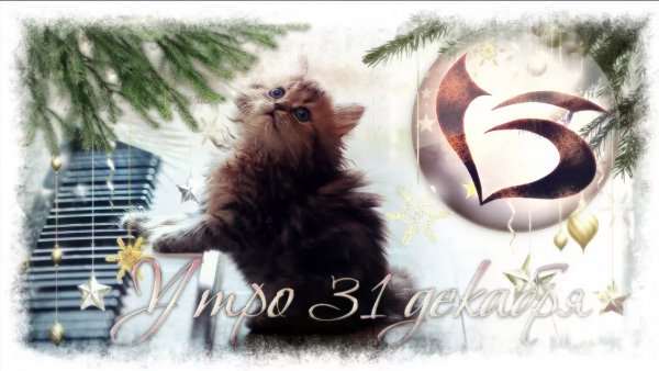 LasImagenes - Утро 31 декабря