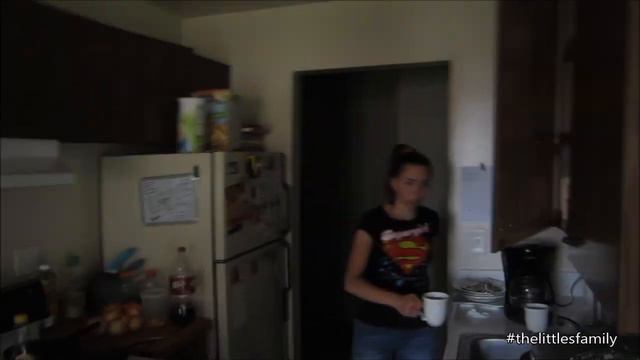 Жизнь в США: Долгожданная ВСТРЕЧА ! | VLOG August 2, 2014 смотреть онлайн