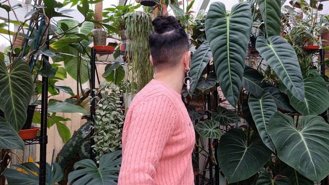 Plant Room Tour Continued | Houseplant Shelf Tour | Part 3 смотреть онлайн
