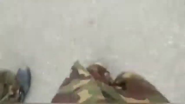 Kenya Defence Force Training (KDF) смотреть онлайн