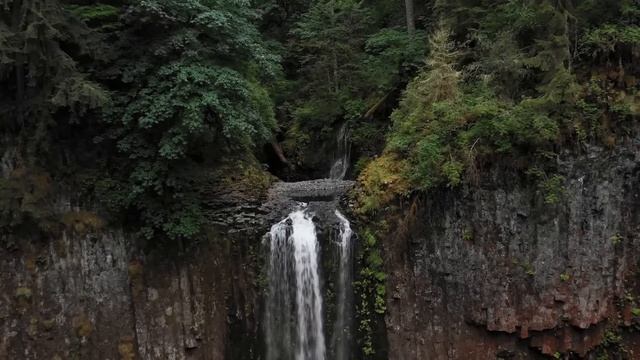 Свекровь собралась с нами в медовый месяц. - Я так устала вашу свадьбу организовывать, что имею смотреть онлайн