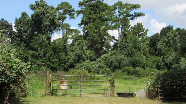 26301 FM 2978, Magnolia, TX 77354 смотреть онлайн