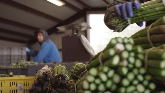 AdWords Stories: Farm Fresh To You смотреть онлайн