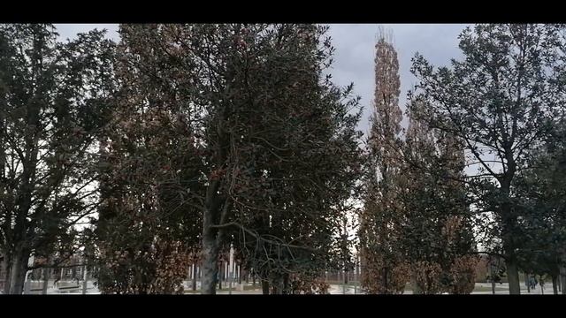 Краснодар парк Галицкого Ч 1 смотреть онлайн