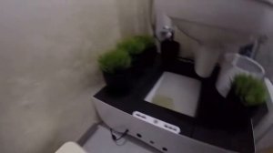 Автоматический кошачий туалет PetyPot   ВОТ ЭТО ДА!!!