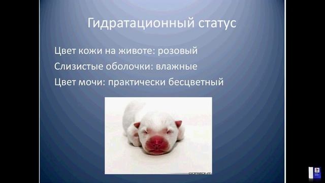 Алгоритм действий при стабилизации неонатальных пациентов в критических состояниях смотреть онлайн