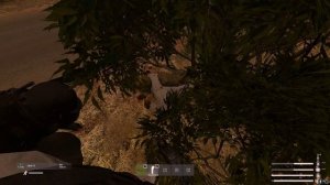 живучий 2